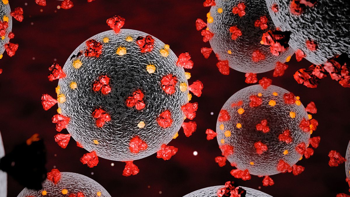 Corona Virus Bild